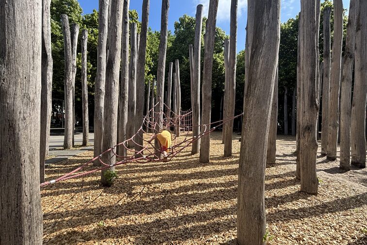 Child on a climbing frame