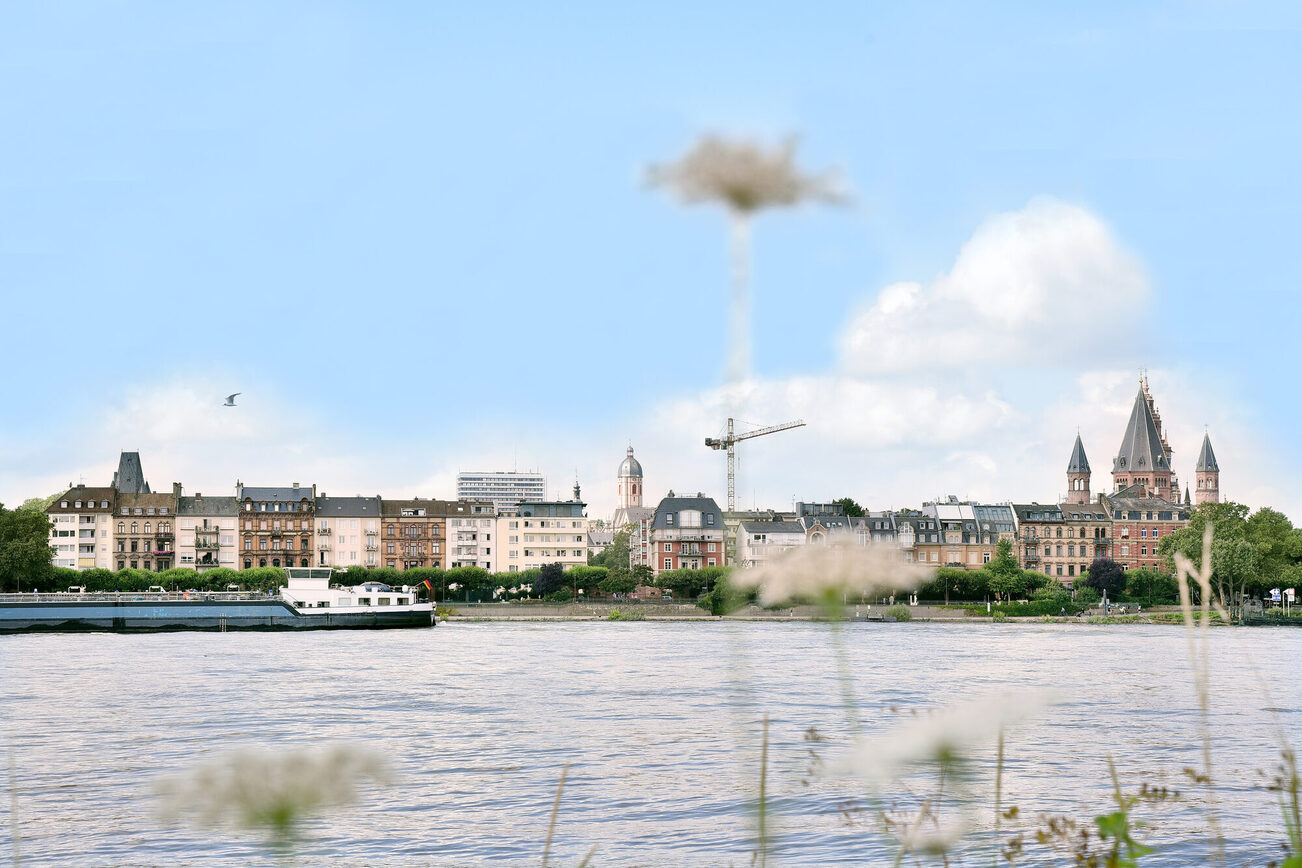 the panorama of Mainz on the banks of the Rhine