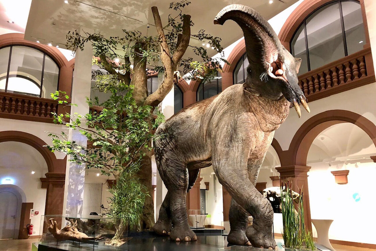 Urelefant im Eingang des Naturhistorischen Museums