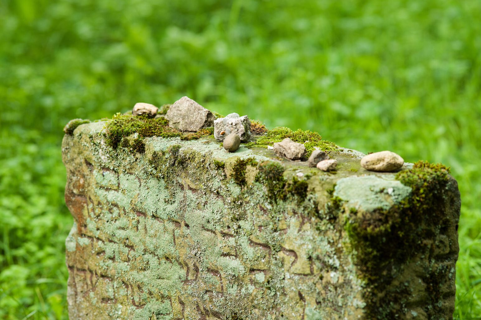 Jüdische Grabsteine des mittelalterlichen Magenzas (Foto: Carsten Costard)