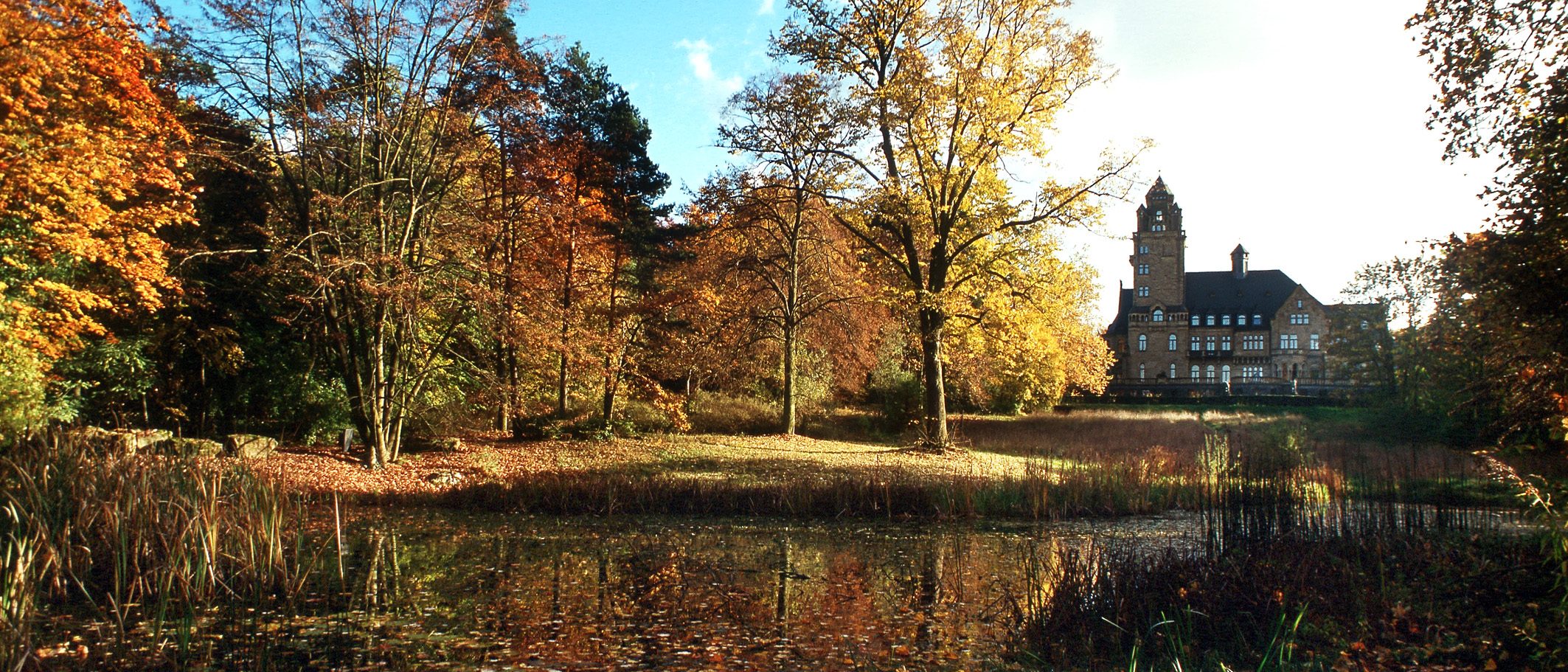 Herbstimmung mit bunt gefärbten Blättern an Bäumen und Sträuchen, im Vordergrund ein Teich und im Hintergrund ein Schloss (Schloss Waltdhausen).