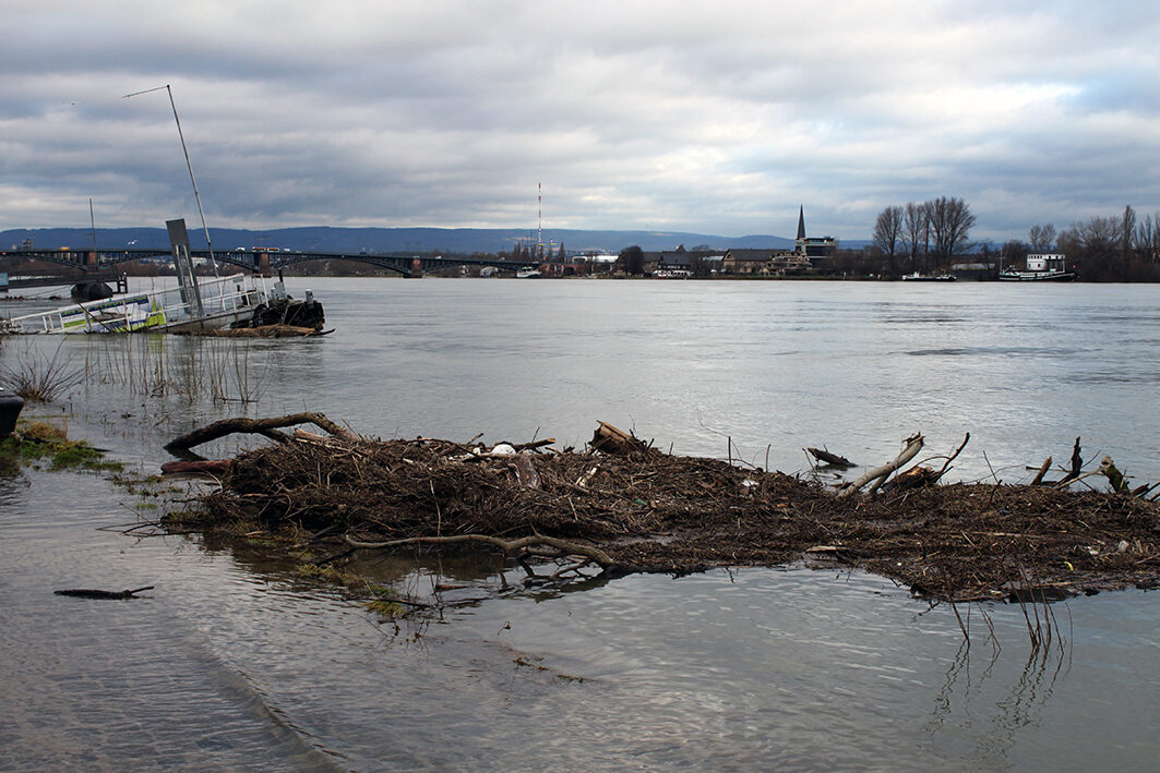 Aufräumarbeiten nach einem Rheinhochwasser
