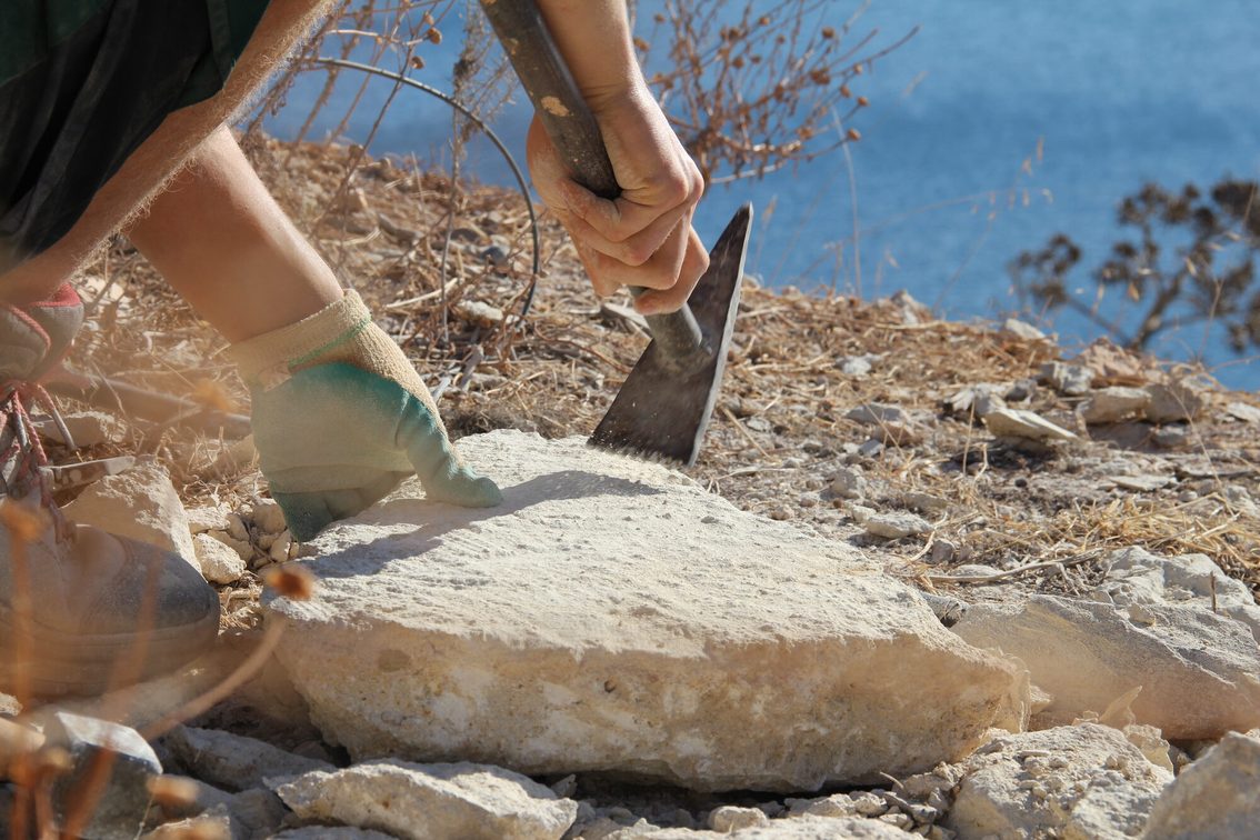 Formazione interaziendale per giardinieri a Creta