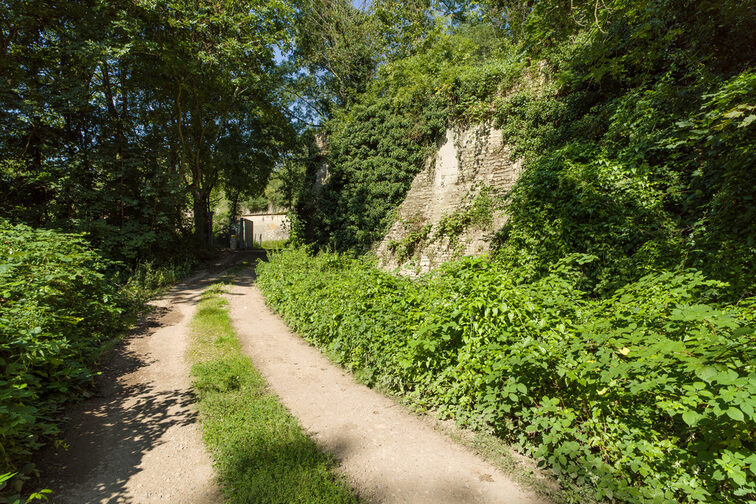 Dry stone wall