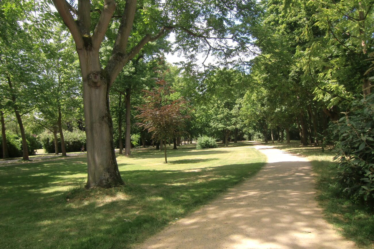 Parkweg der Wallgrünanlagen