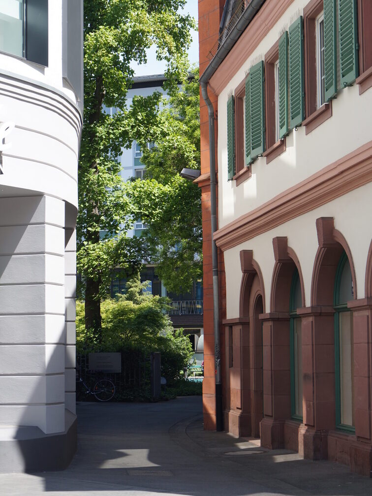 The somewhat hidden entrance to the park