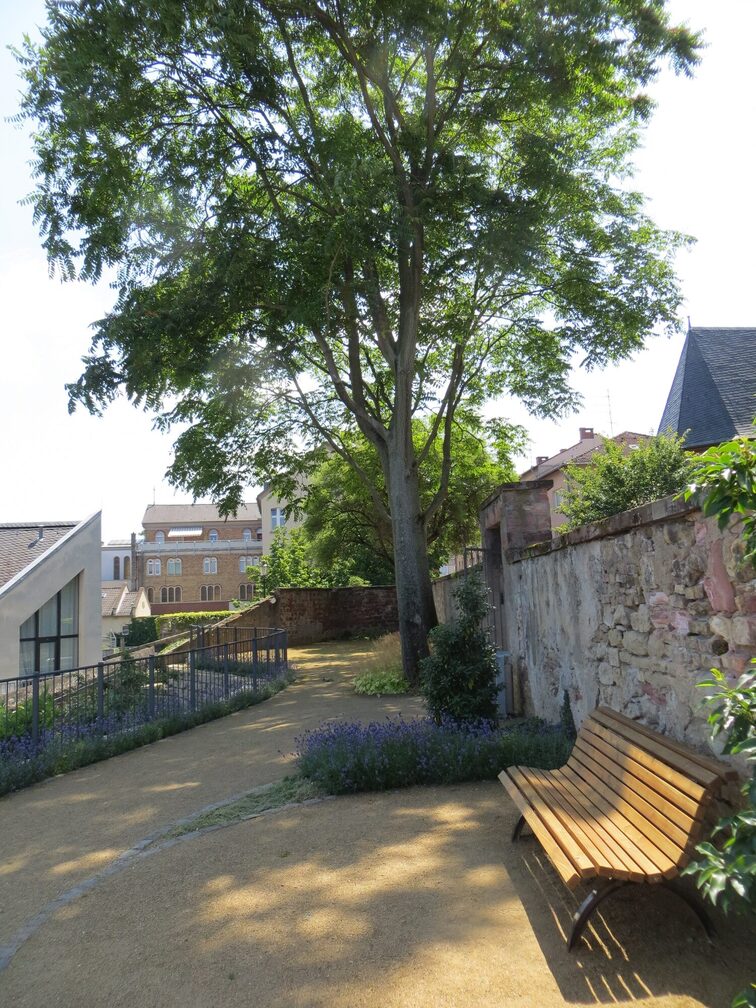 Bench in Stephansgarten