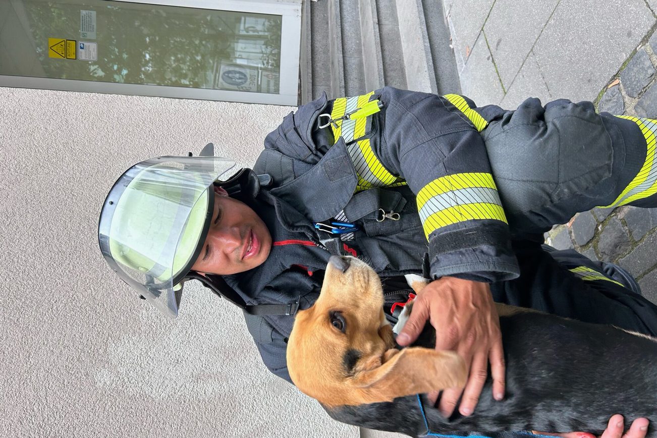 Beagle Frank mit einem seiner Retter David.