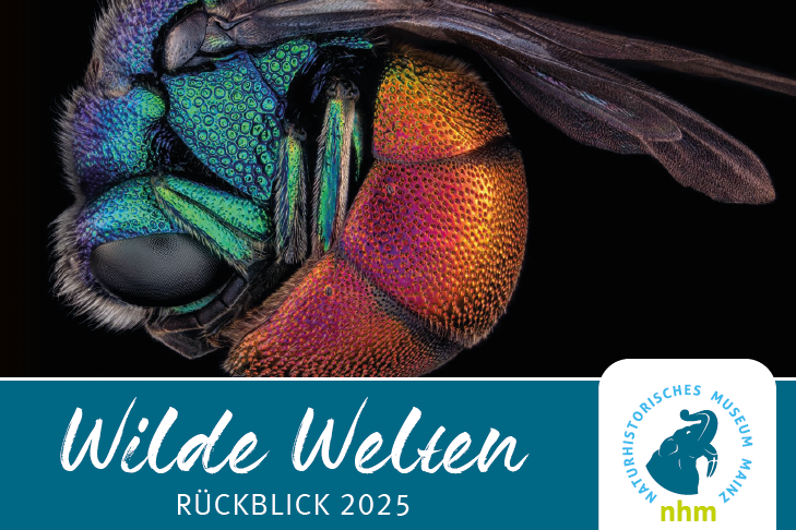 Wilde Welten Rückblick 2023.