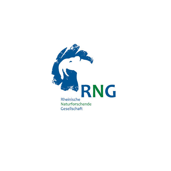Logo RNG.