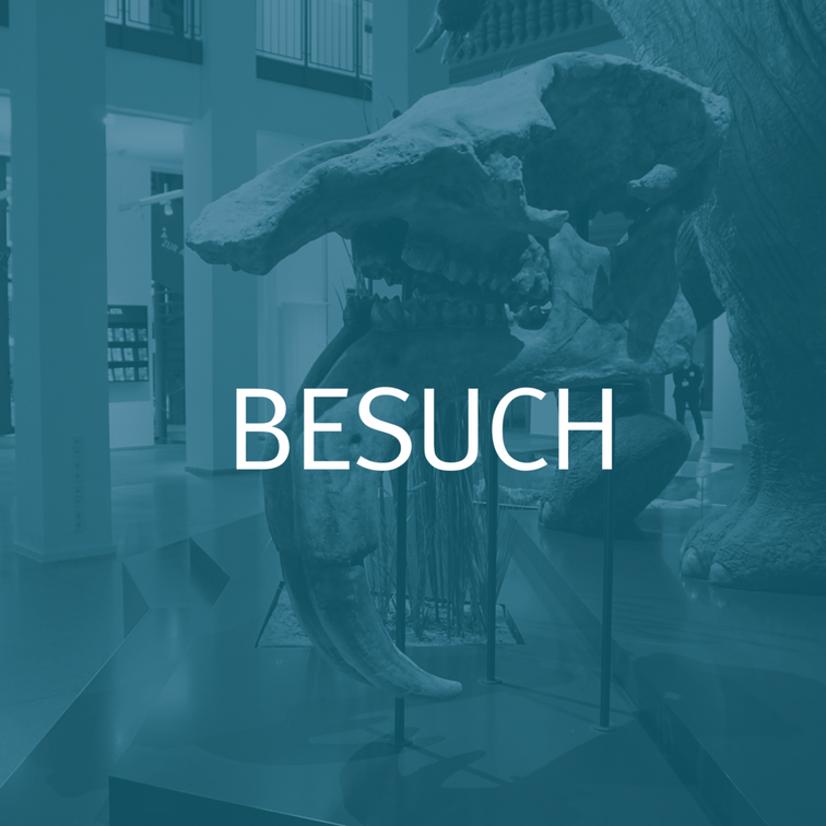 Euer Besuch bei uns!