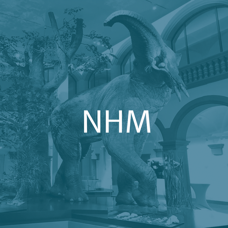 Alle Infos zum nhm.