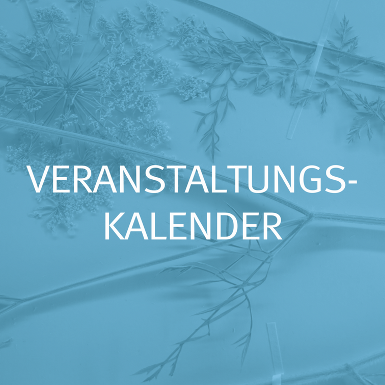 Unsere Events auf einen Klick.