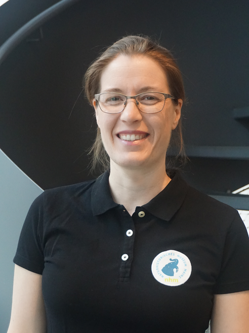 Ulrike Nies