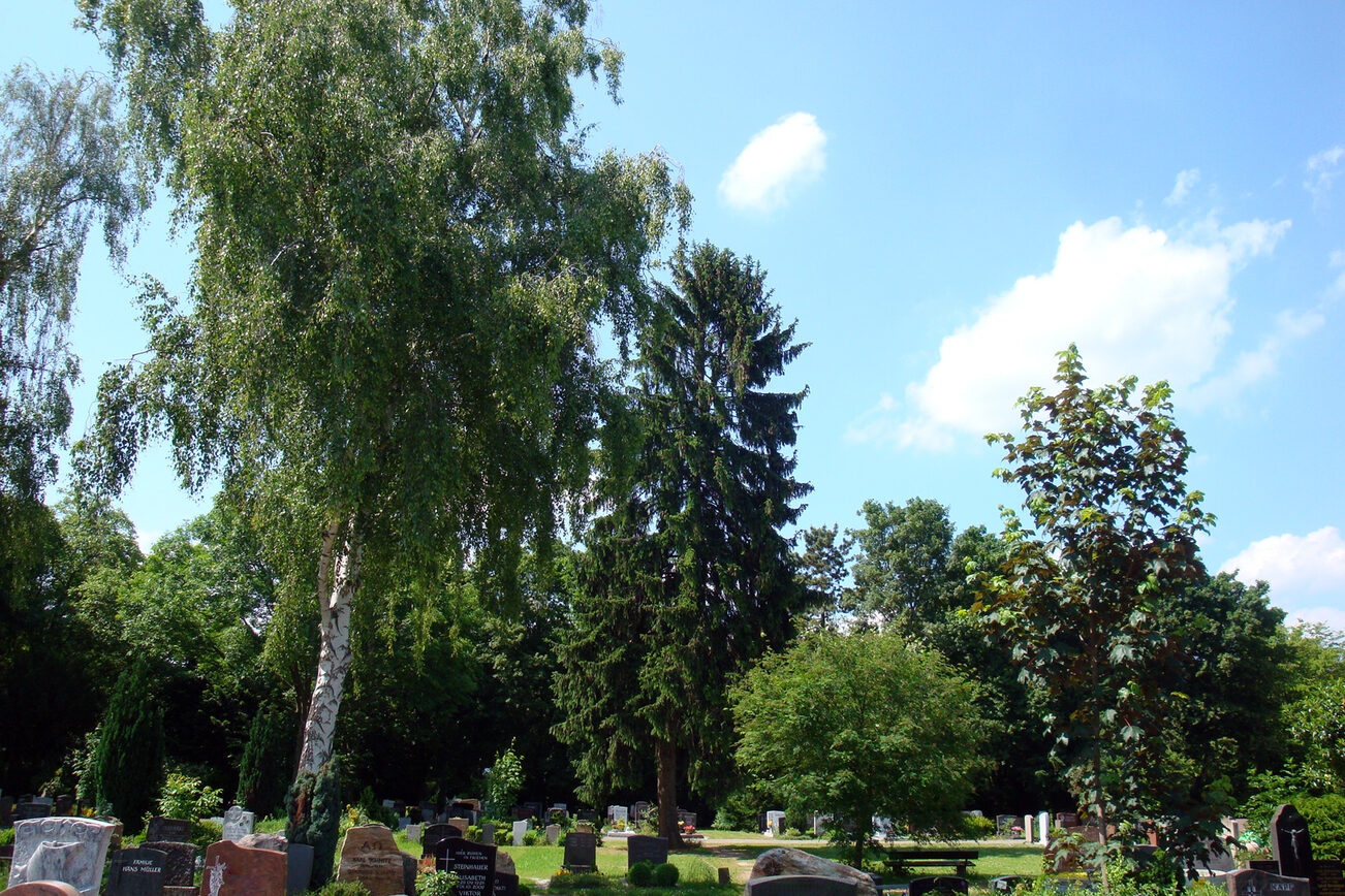 Embedded: A grave field under trees at the Bretzenheim cemetery.