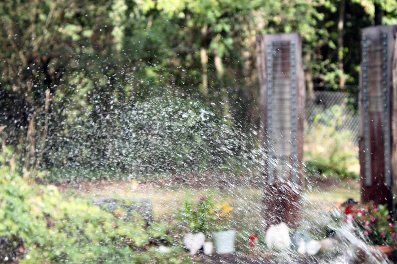 Glittering: A snapshot of the cemetery in Gonsenheim.