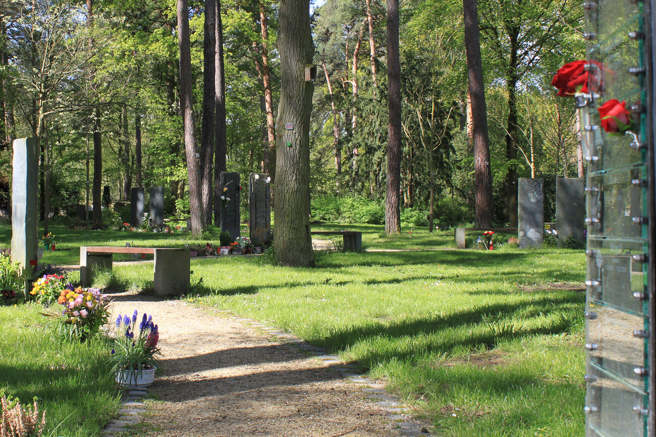 Living up to its name: the forest cemetery in Mombach.