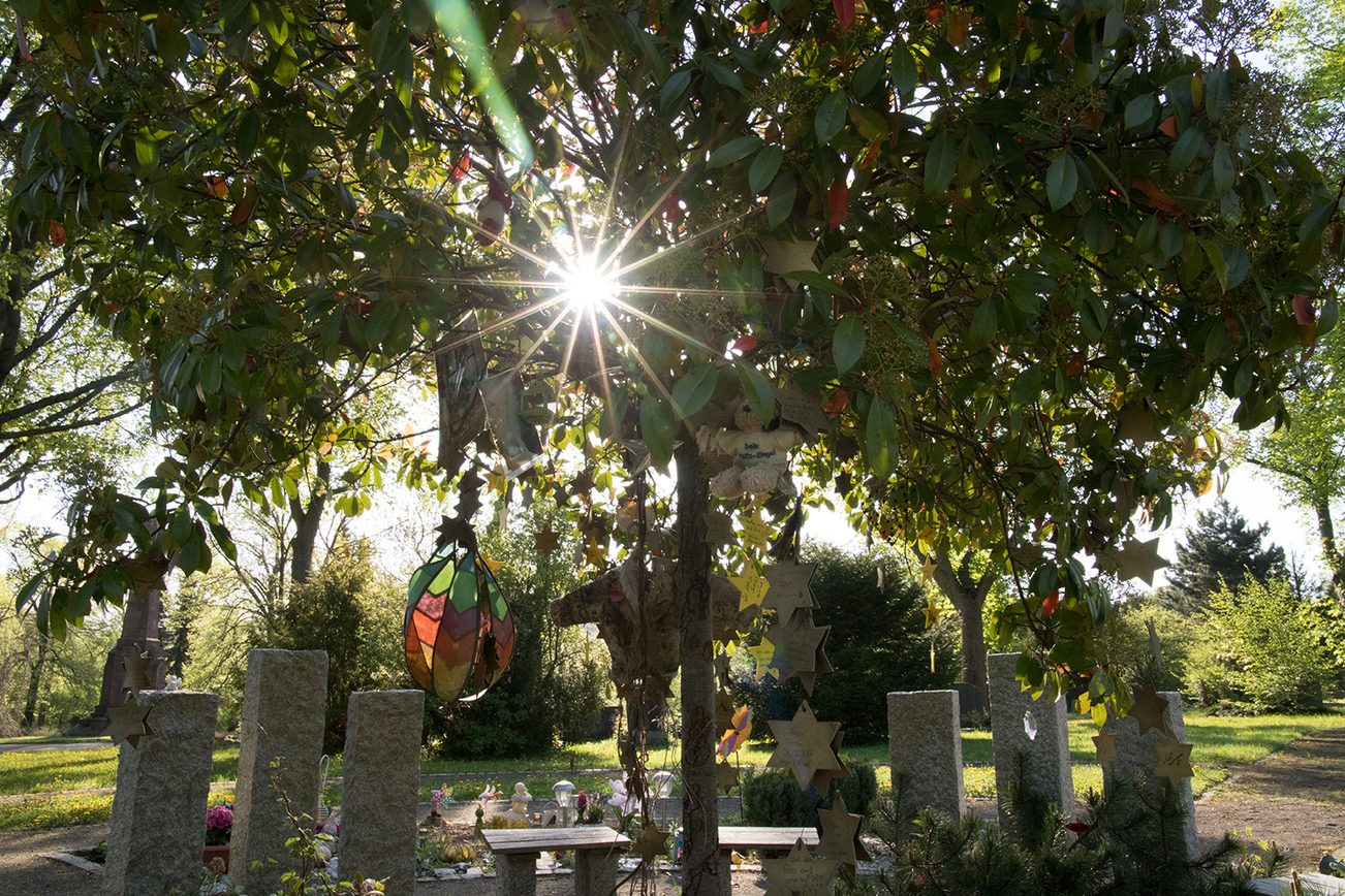 The new star garden at Mainz main cemetery