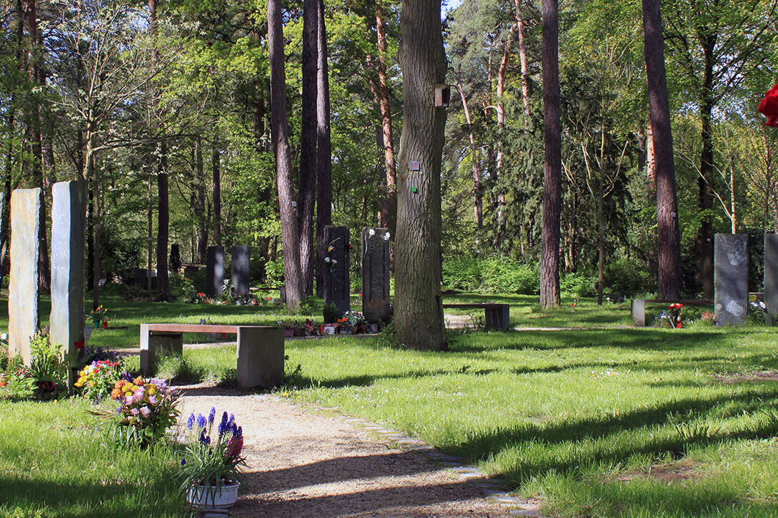 Tree graves in one of Mainz's cemeteries.