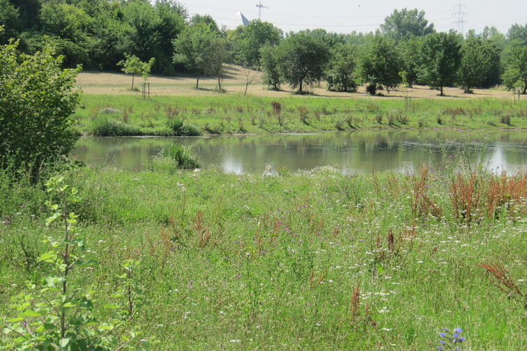 Vue sur la vallée de Wildgrab