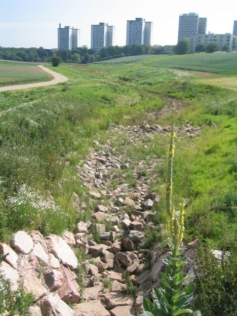 Le Wildgraben après sa renaturation