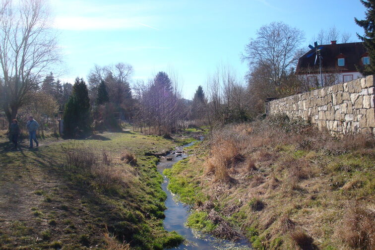 وادي غونسباخ بعد إعادة التجنيس
