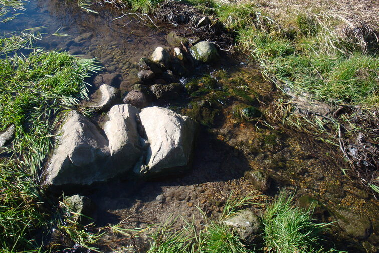 تُظهر الصورة المياه الصافية في غونسباخ