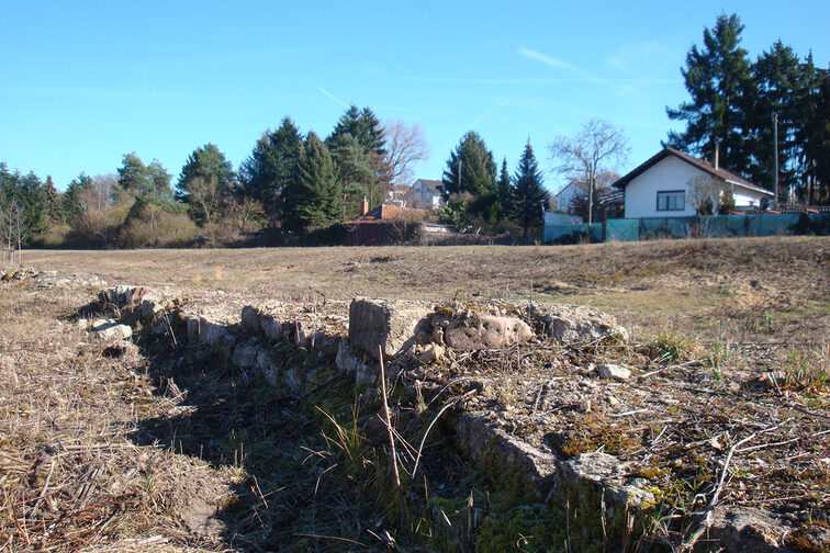 تُظهر الصورة بقايا جدار عمره حوالي 2000 عام