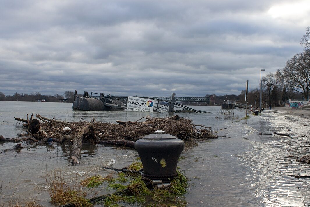 Das Rheinufer, nachdem das Hochwasser zurückgegangen ist.